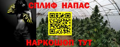стафф Апшеронск