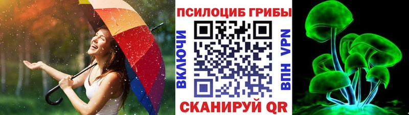 Галлюциногенные грибы мицелий  Москва 