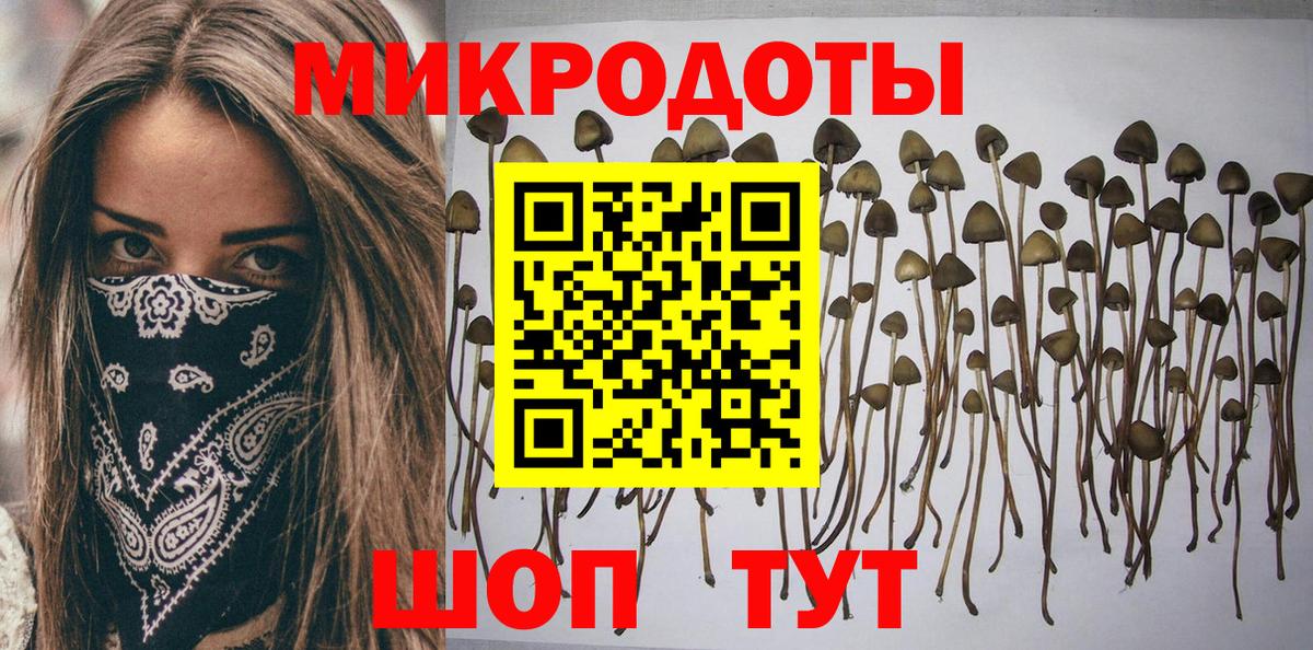 Галлюциногенные грибы Psilocybine cubensis  Вход с VPN  Москва 