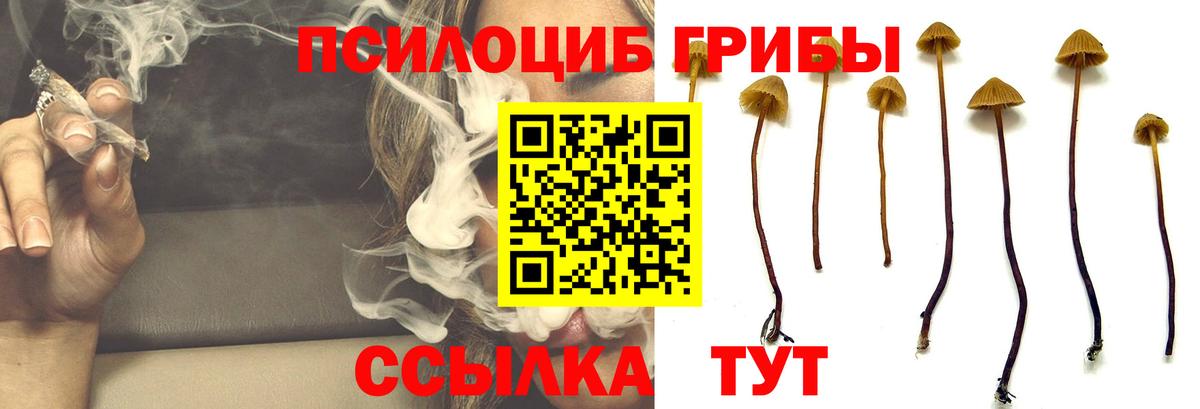Галлюциногенные грибы MAGIC MUSHROOMS Москва